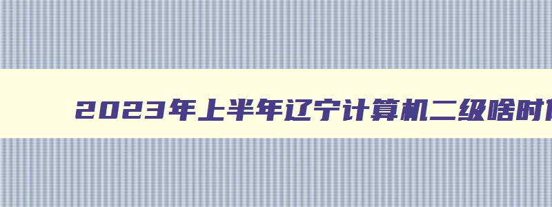 2023年上半年辽宁计算机二级啥时候报名（辽宁省计算机二级下半年考试时间）