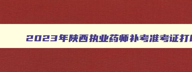 2023年陕西执业药师补考准考证打印流程视频