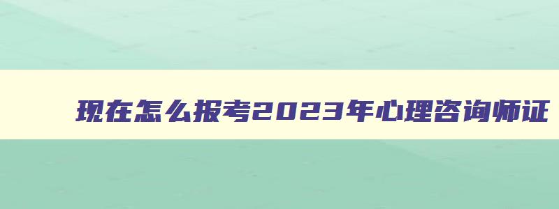 现在怎么报考2023年心理咨询师证