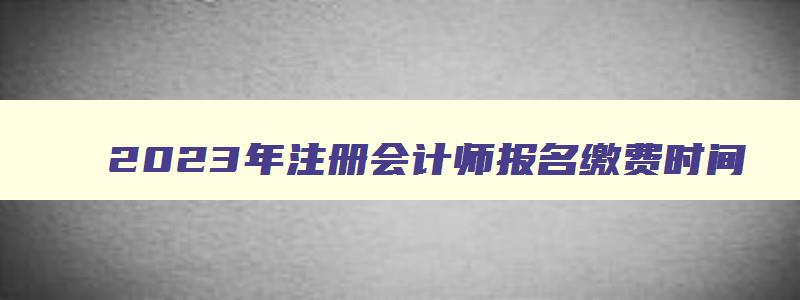 2023年注册会计师报名缴费时间