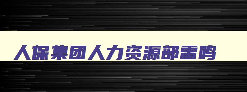 人保集团人力资源部雷鸣,人保集团人力资源部