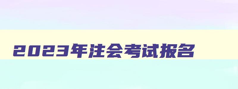 2023年注会考试报名