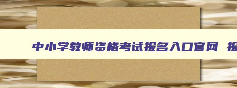 中小学教师资格考试报名入口官网