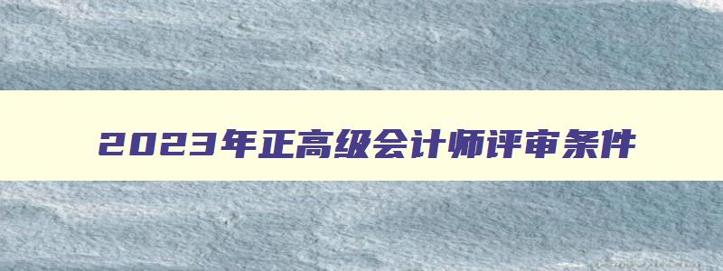 2023年正高级会计师评审条件