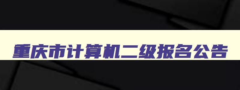 重庆市计算机二级报名公告