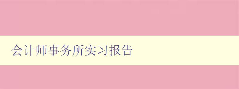 会计师事务所实习报告