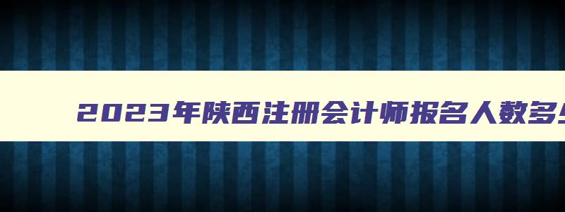 2023年陕西注册会计师报名人数多少,2023年陕西注册会计师报名