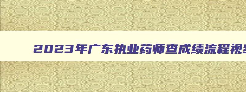 2023年广东执业药师查成绩流程视频