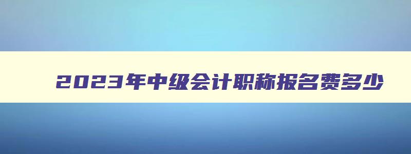 2023年中级会计职称报名费多少