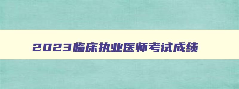 2023临床执业医师考试成绩