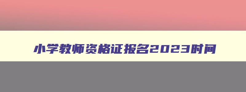 小学教师资格证报名2023时间