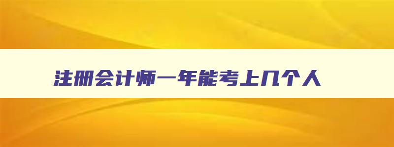 注册会计师一年能考上几个人