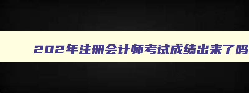 202年注册会计师考试成绩出来了吗,202年注册会计师考试