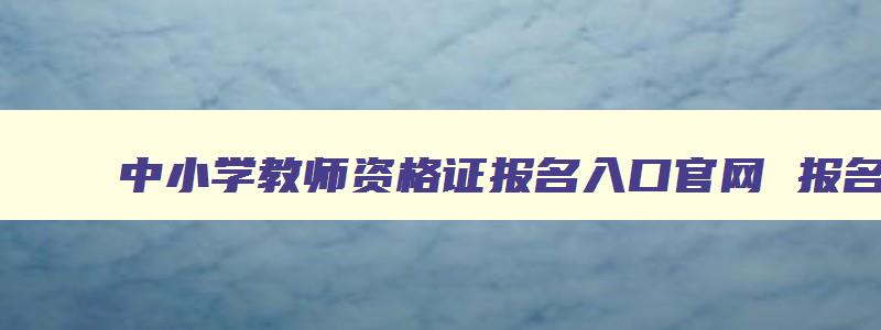 中小学教师资格证报名入口官网