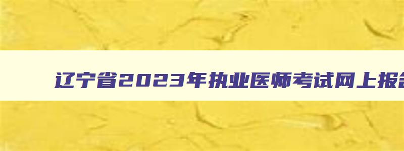 辽宁省2023年执业医师考试网上报名时间