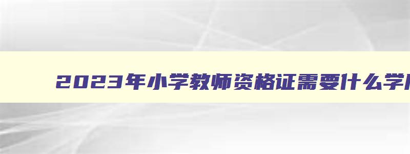 2023年小学教师资格证需要什么学历