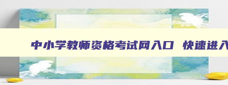 中小学教师资格考试网入口