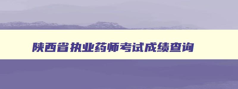 陕西省执业药师考试成绩查询