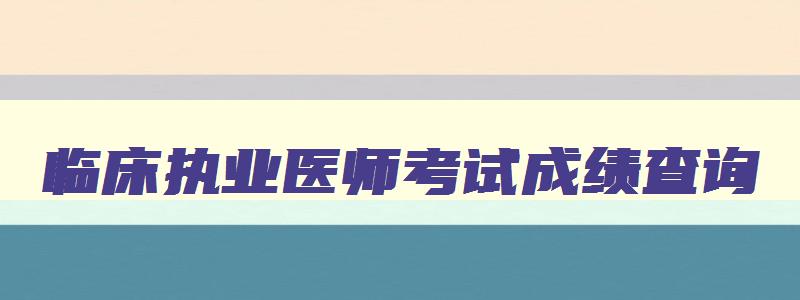 临床执业医师考试成绩查询