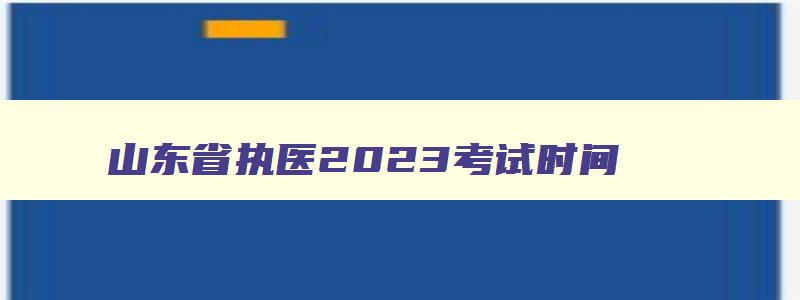 山东省执医2023考试时间