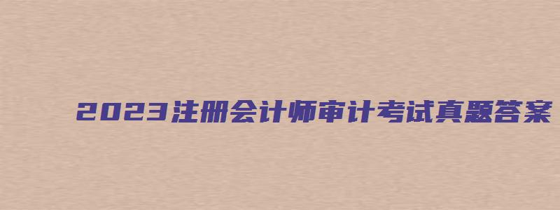 2023注册会计师审计考试真题答案（免费下载）（注册会计师审计考试）