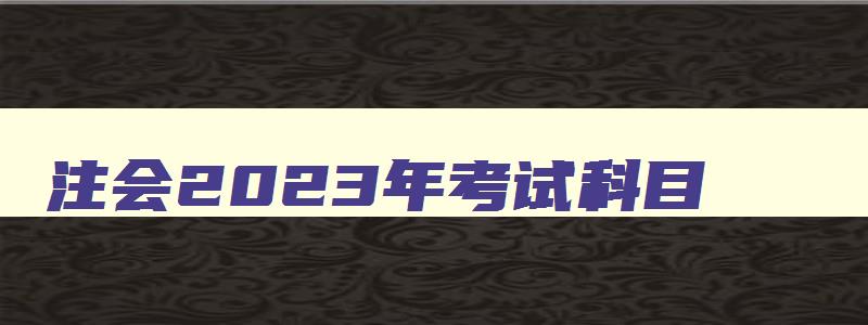 注会2023年考试科目