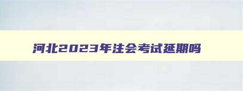 河北2023年注会考试延期吗