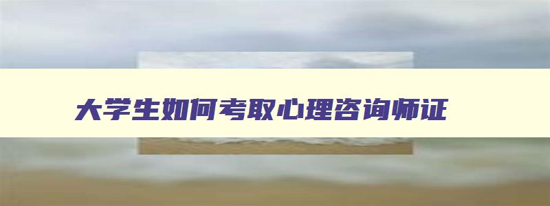 大学生如何考取心理咨询师证,大学生如何考心理咨询师资格证书