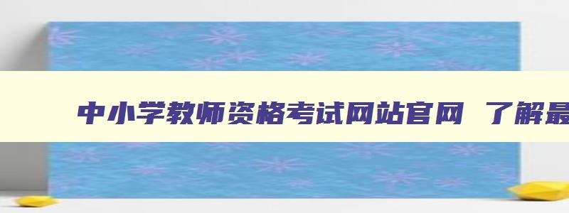 中小学教师资格考试网站官网