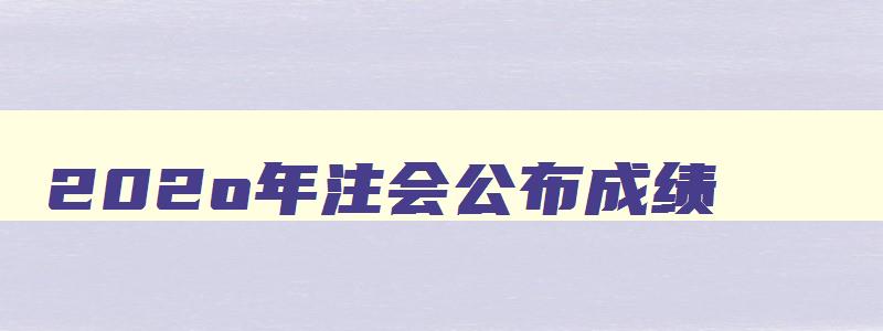 202o年注会公布成绩