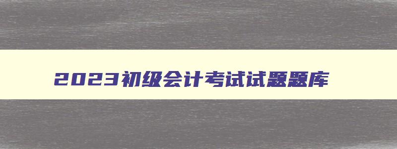 2023初级会计考试试题题库