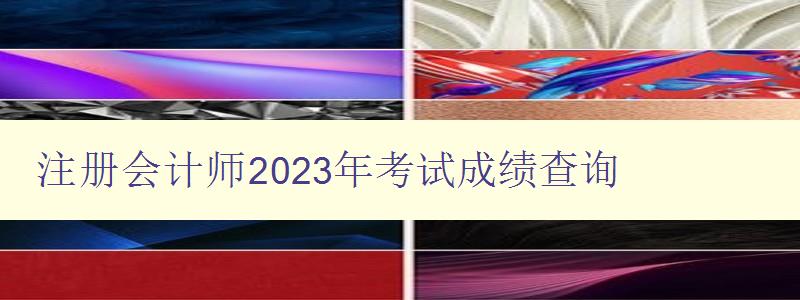 注册会计师2023年考试成绩查询