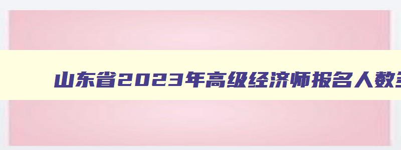 山东省2023年高级经济师报名人数多少,山东省2023年高级经济师报名