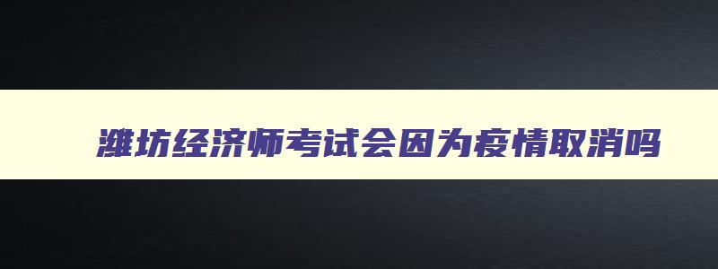 潍坊经济师考试会因为疫情取消吗,潍坊经济师考试