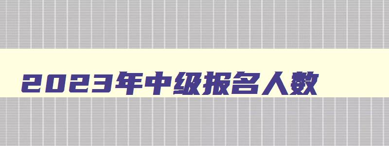 2023年中级报名人数,2023会计中级报名