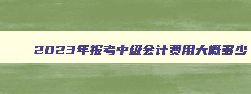 2023年报考中级会计费用大概多少