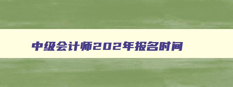 中级会计师202年报名时间,中级会计师202年报名时间