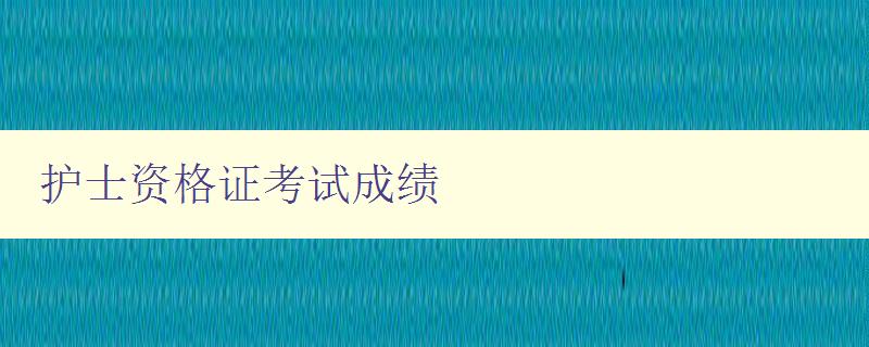 护士资格证考试成绩