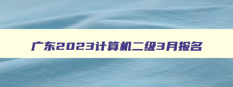 广东2023计算机二级3月报名（广东2023计算机二级3月报名时间）