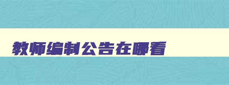 教师编制公告在哪看,2023内蒙古教师编制考试时间