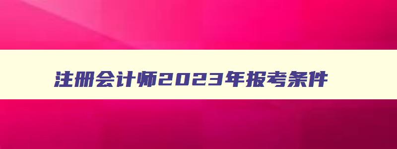 注册会计师2023年报考条件,2023注册会计师报名条件改革