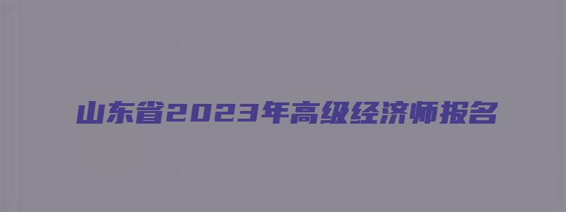 山东省2023年高级经济师报名（山东省2023年高级经济师报名时间）