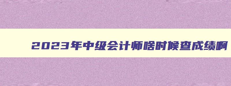 2023年中级会计师啥时候查成绩啊