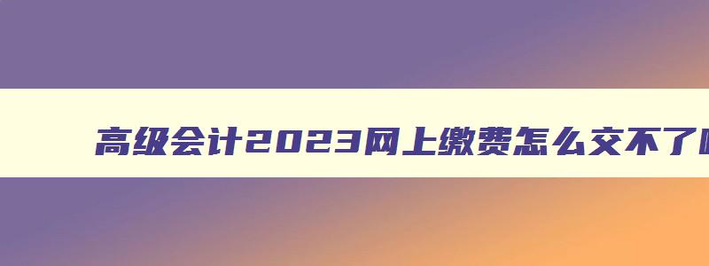 高级会计2023网上缴费怎么交不了呢