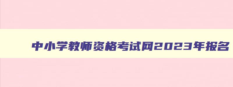 中小学教师资格考试网2023年报名