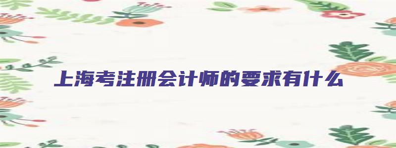 上海考注册会计师的要求有什么（上海考注册会计师的要求有什么条件）