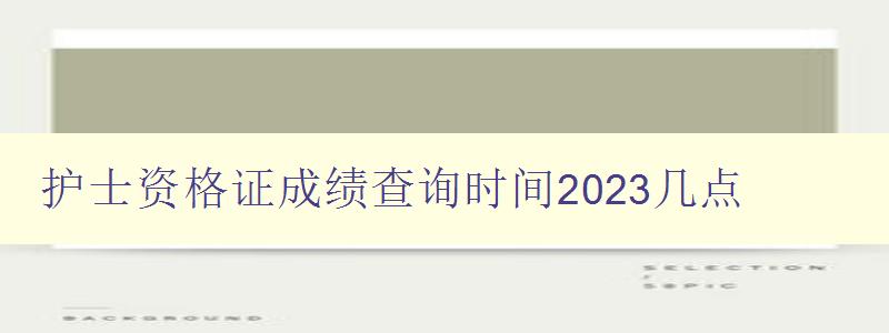 护士资格证成绩查询时间2023几点