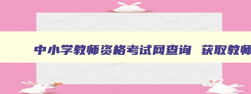 中小学教师资格考试网查询