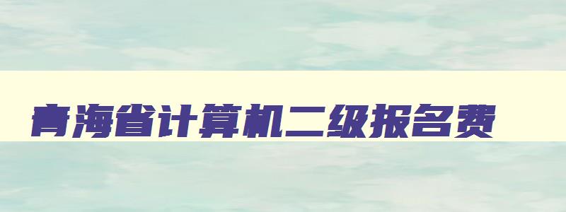 青海省计算机二级报名费,青海省计算机二级报名