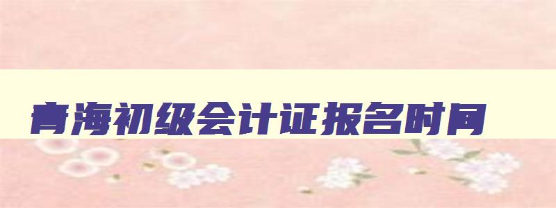 青海初级会计证报名时间,青海初级会计考试时间2023年5月13日至17日几点